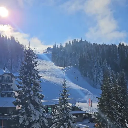 Olimpijska Kuca A206