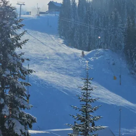 Olimpijska Kuca A206 Appartamento Jahorina